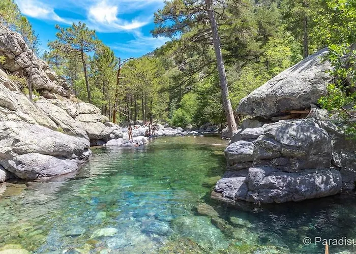 Bas De Avec Piscine Prázdninový dům Moltifao